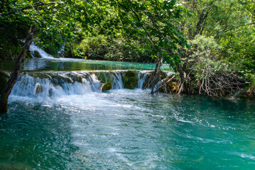 Naklejka premium Plitvice Lakes is National Park in Croatia. Tranquil forest lake with small cascading waterfalls, flowing through lush green trees and vegetation, creating serene natural scene.
