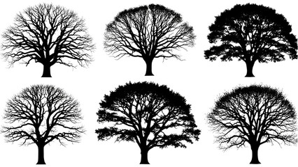 Obraz premium Vector CAD design features various tree silhouettes in different seasons.