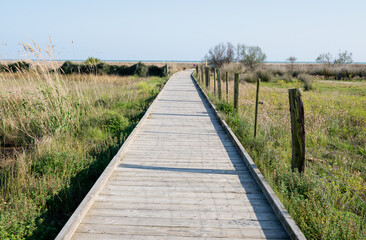 Fototapeta premium Wooden boardwalk leading through coastal grassland to the sea under clear blue sky scenic nature landscape