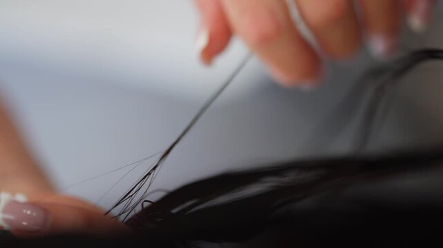 The hairdresser applies the mask to the hair with a brush, pressing it down. High quality 4k footage