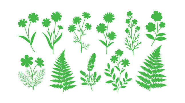 Group of flowers, leaves, and floral stems. Wild plant illustration with a grunge brush effect. Botanical components. Vector design