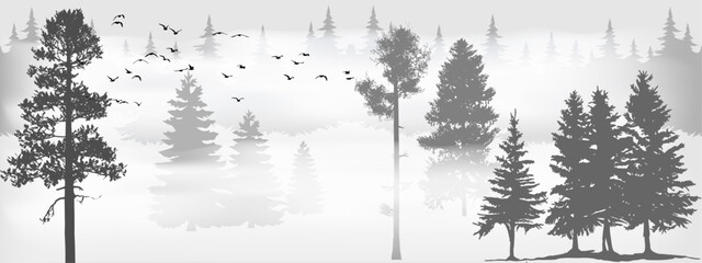 cold gray coniferous forest with fog and a flying flock of birds on a gray background © Nina