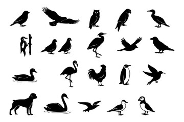 Obraz premium Silhouette collection of various birds and animals in diverse poses.