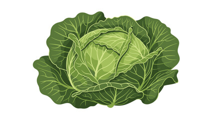 Fototapeta premium Fresh and vibrant head of green cabbage with tightly packed leaves, representing healthy and organic produce.