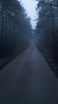 Drone POV flying over a lonely road through a dark misty pine forest in the fog