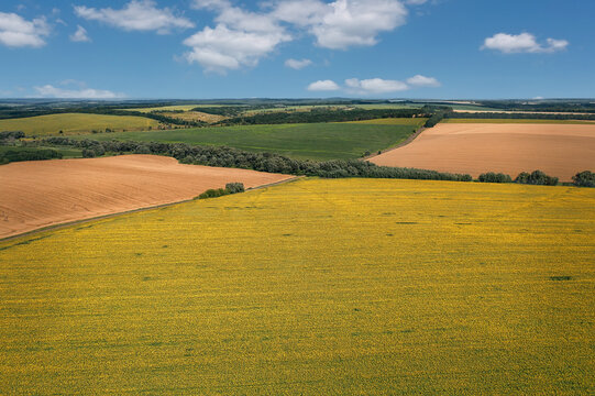 Aerial view of the vibrant patchwork of golden yellow, earthy brown, and verdant green fields stretching to the horizon under a bright, airy sky, Chyhyrynskyi district, Cherkasy Oblast, Ukraine.