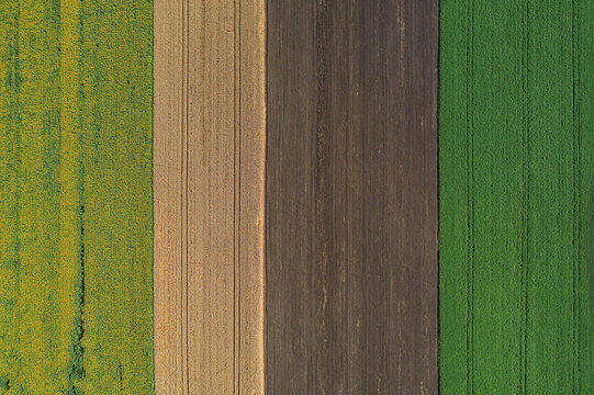 Aerial view of vibrant, contrasting fields of green, yellow, and brown create a patchwork quilt from above, Chyhyryns kyi district, Cherkasy Oblast, Ukraine.