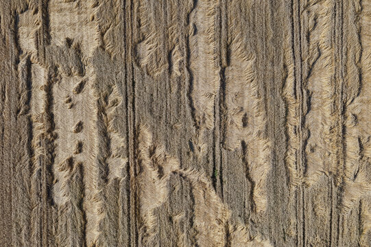 Aerial view of a harvested field displaying patterns of cut stalks and shadows, evoking a sense of autumnal calm, Chyhyryns kyi district, Cherkasy Oblast, Ukraine.