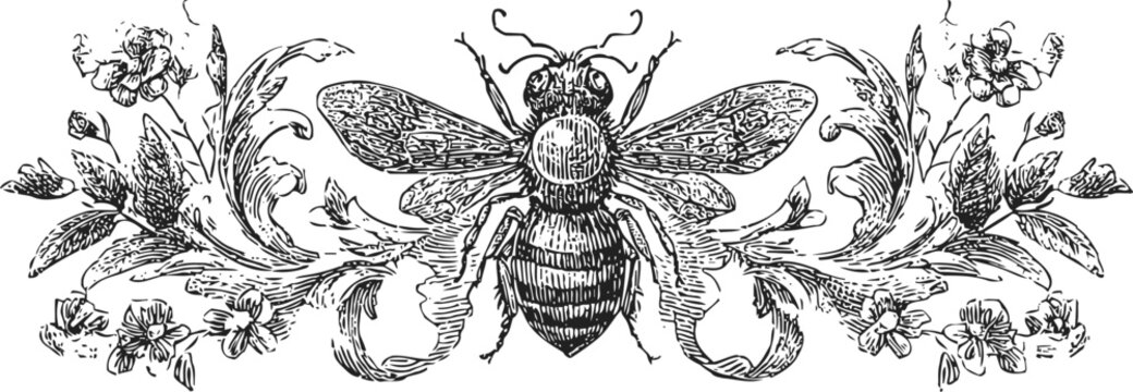 Vintage floral ornament with detailed bee illustration in classic engraving