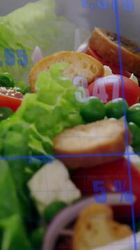 Vertical video: Camera panning, zooming inward, showing salad in white bowl while grid measures