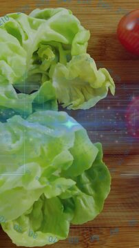 Vertical video: Camera pulling back, lettuce heads on board, tomato entering, HUD mapping food data