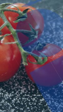 Vertical video: Cam panning past clove to sauce tomato filling spoon salting blue HUD over food ad