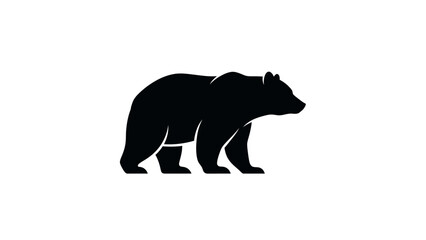 Fototapeta premium Black bear walking in profile view.