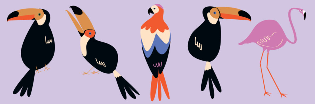 Illustration of colorful birds including toucans, a parrot, and a flamingo. Vibrant toucans, a striking parrot, and a pink flamingo on a light background. Animal illustrations, isolated vector set.