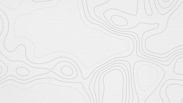 Abstract White Topographic Map Background.Animated moving contour lines on clean paper texture.