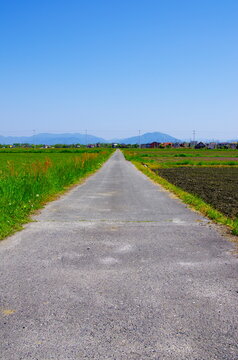 滋賀県高島市の田園風景とまっすぐ続く道