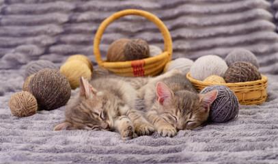 Two sleeping kittens with balls of yarn in a basket