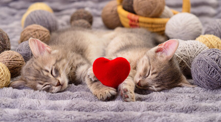 Two sleeping kittens with a red heart and yarn balls © Anatolii