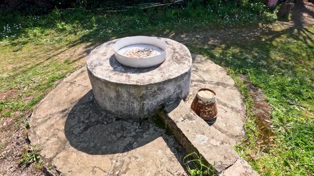 A round stone well sits in a garden. A clay pot rests beside it on the ground. Bright sunlight shines on the scene. Grass grows around. Flowers can be seen in the background.