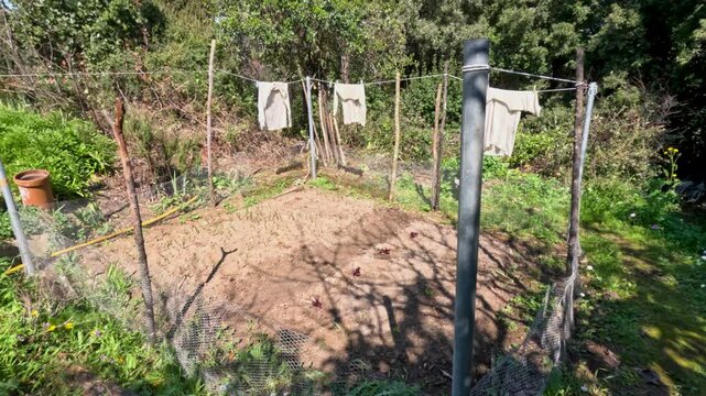 Clothes are hanging on a line in a garden area. The ground is bare and has rows marked for planting. Greenery and trees surround the space.