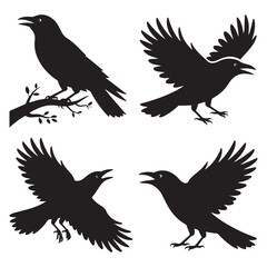 Fototapeta premium Raven Silhouette Collection – Different Poses