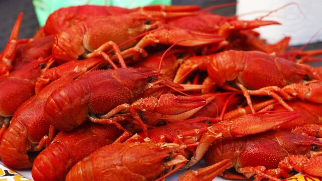 Enjoy crawfish cooking at a local outdoor gathering in Southern USA during springtime with friends and family
