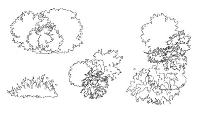 Natural tree clusters top view symbols for architectural landscape design and garden plans. © Sara Studio