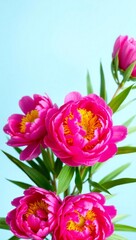 Obraz premium bouquet of pink tulips