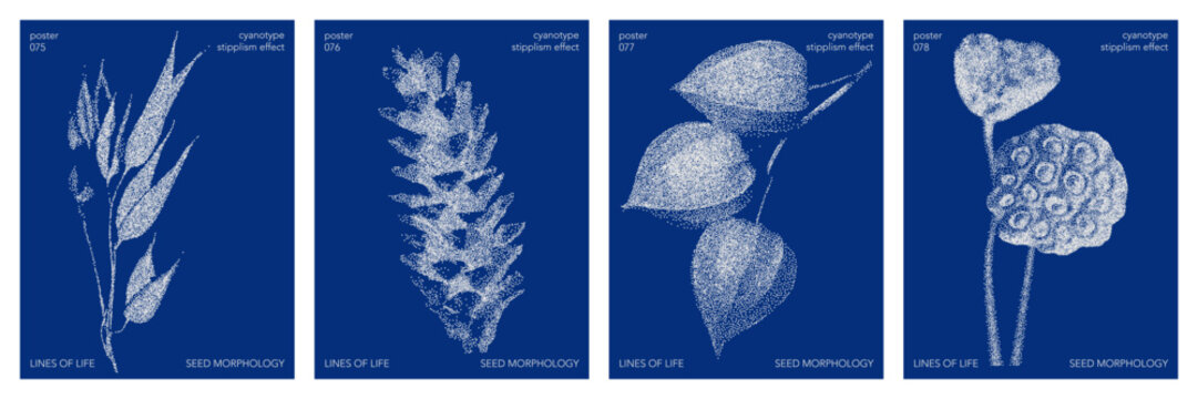 Cyanotype halftone overlay texture bg with leaves silhouettes. Vector soft blue wallpaper for template, graphic design projects, artworks.