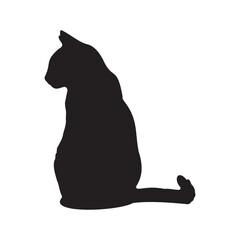 Cat silhouette sitting alone black © Biddut