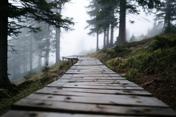 Fototapeta premium A weathered wooden boardwalk stretches into a misty dense forest creating a serene pathway