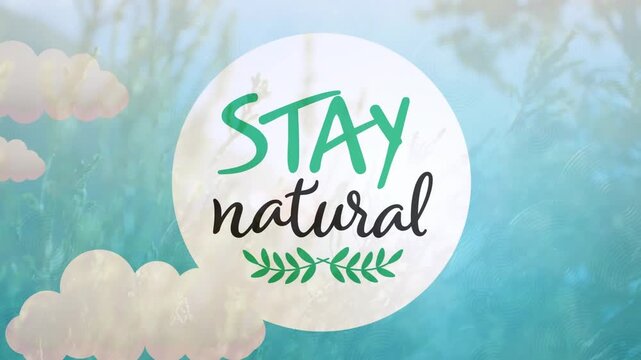 Animation of red triangle and circles over blue background