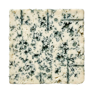 Gorgonzola blue cheese slice texture with mold veins