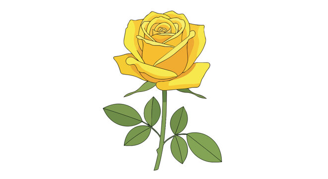 Hand Drawn Illustration of a Single Yellow Rose Flower