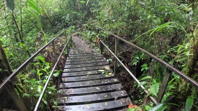 Scenic panoramic view of Monteverde cloud forest with rolling mist and dense green jungle, cinematic nature travel footage Costa Rica
