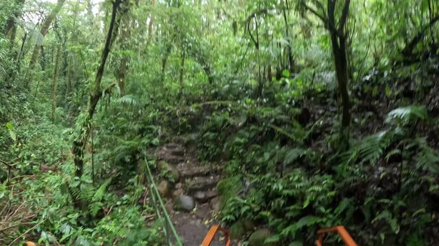 Serene cloud forest landscape in Monteverde Costa Rica with drifting fog and lush greenery, relaxing nature travel footage