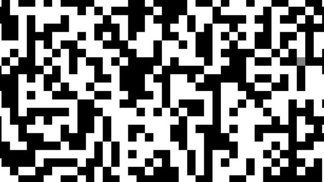 A complex black and white pixelated pattern covers the entire screen to mimic the high contrast look of a digital qr code or a dense data stream