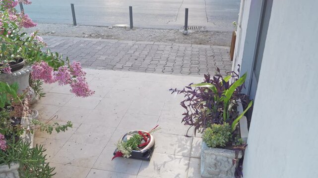 compact robot vacuum cleaner, driving along city sidewalk next to bright flowers and potted plants, carries bouquet of flowers. The concept is comical escape of machine, humor about a robot uprising