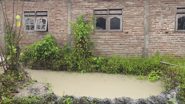 Panning shot across a muddy, stagnant puddle of water sitting next to the exterior wall of an old, weathered brick house. Overgrown green weeds and climbing plants grow along the base of the wall.
