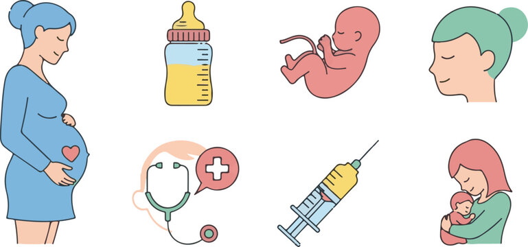 Pregnancy and childbirth medical illustrations