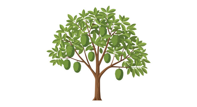 Illustration of a Tropical Jackfruit Tree with Ripe Green Fruits