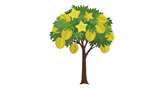 Illustration of a Starfruit Tree with Ripe Yellow Carambola Fruits
