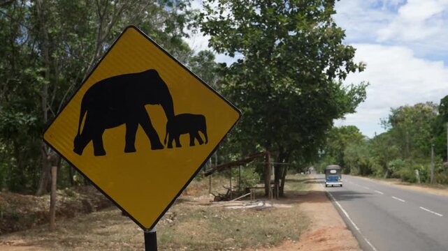 Road sign warning of elephant crossing along a rural road in Sri Lanka, with a tuk tuk passing by on the asphalt.