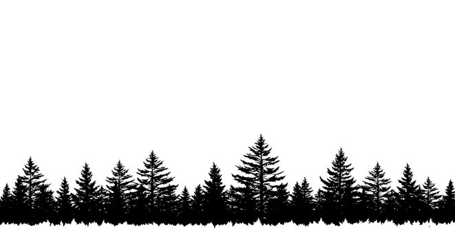 Black Silhouette Forest Horizon - Evergreen Trees Landscape Border