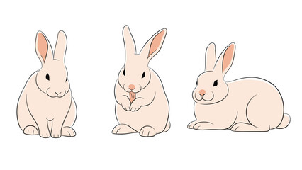 Obraz premium Three realistic sketches of white rabbits in different natural poses like sitting and cleaning their paws on white background.