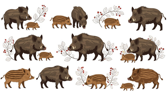 Detailed illustration of a wild boar family including adults and striped piglets foraging among berry branches and colorful autumn leaves.