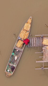 Ribeirinho descarregando sua canoa de palmito  