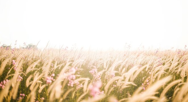 Golden hour sunlight illuminates a serene field of swaying tall grass with delicate pink wildflowers, creating a peaceful and vibrant natural landscape under a bright sky