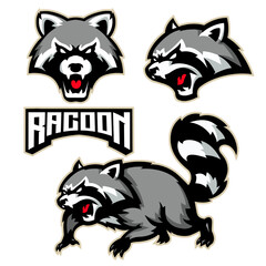 Fierce Angry Raccoon Esports Mascot Vector Logo Design Set © Ilhustrator