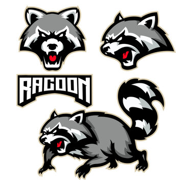 Fierce Angry Raccoon Esports Mascot Vector Logo Design Set